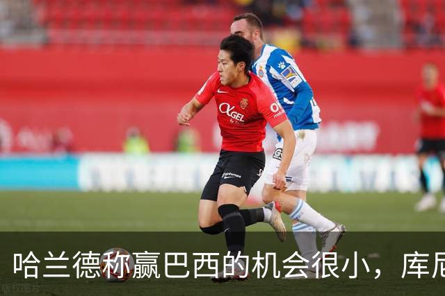 哈兰德称赢巴西的机会很小，库尼亚：我们绝不会因此掉以轻心