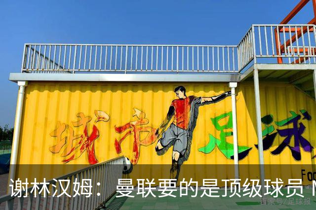 谢林汉姆：曼联要的是顶级球员 M费不够好没必要为错过他沮丧